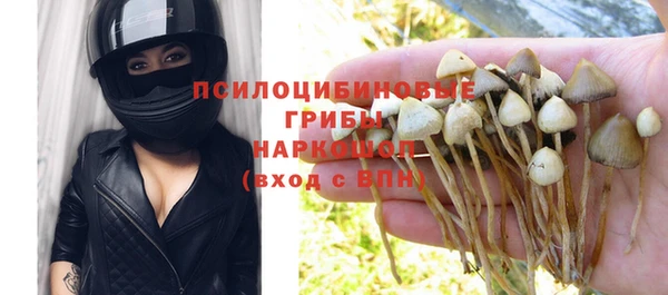 PSILOCYBIN Абдулино