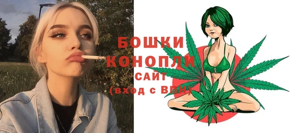 PSILOCYBIN Абдулино