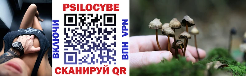 купить   Энгельс  mega зеркало  Галлюциногенные грибы GOLDEN TEACHER 